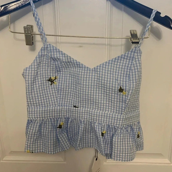 English Factory Tops - English Factory Blue and White Gingham Crop Top with Embroidery Size S NWT